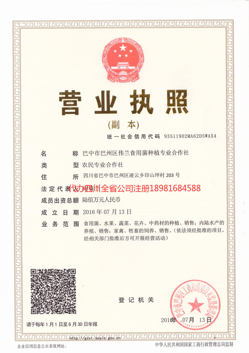 咸宁咸宁伟兰食用菌种植专业合作社